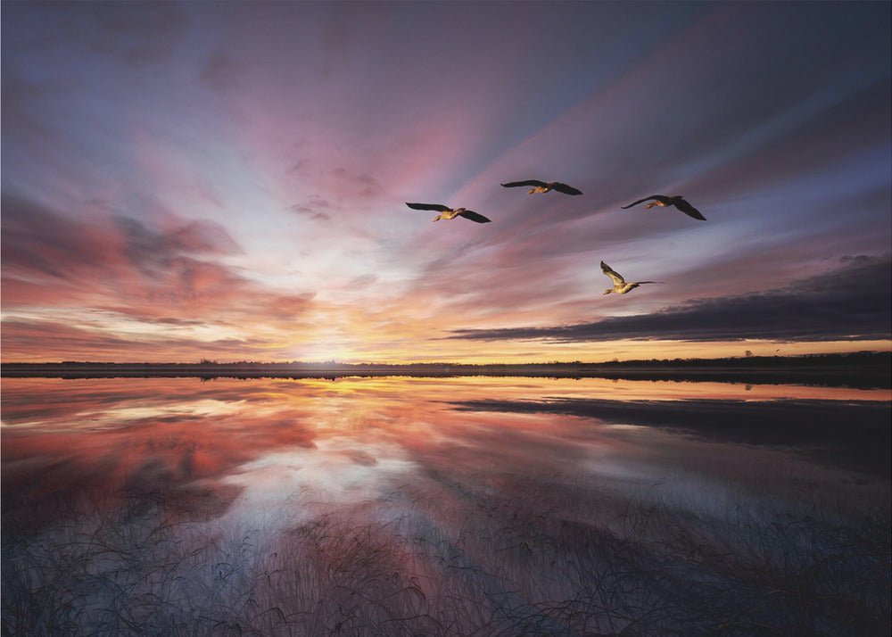 Morning mood.. | Poster