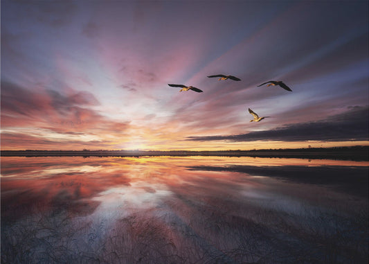 Morning mood.. | Wallpaper