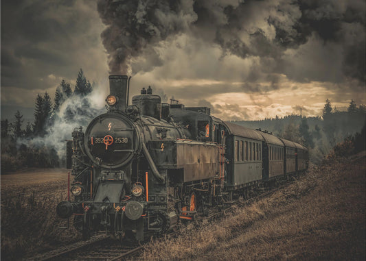 Gold digger train | Canvas