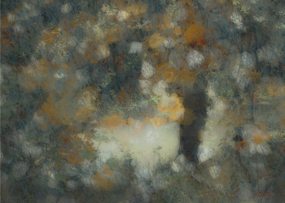 Look through | Canvas