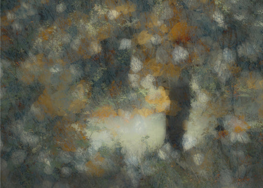 Look through | Canvas