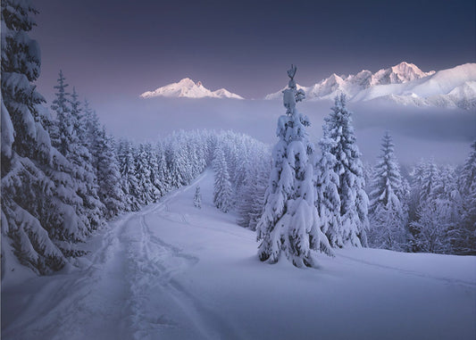 In the Winter | Poster