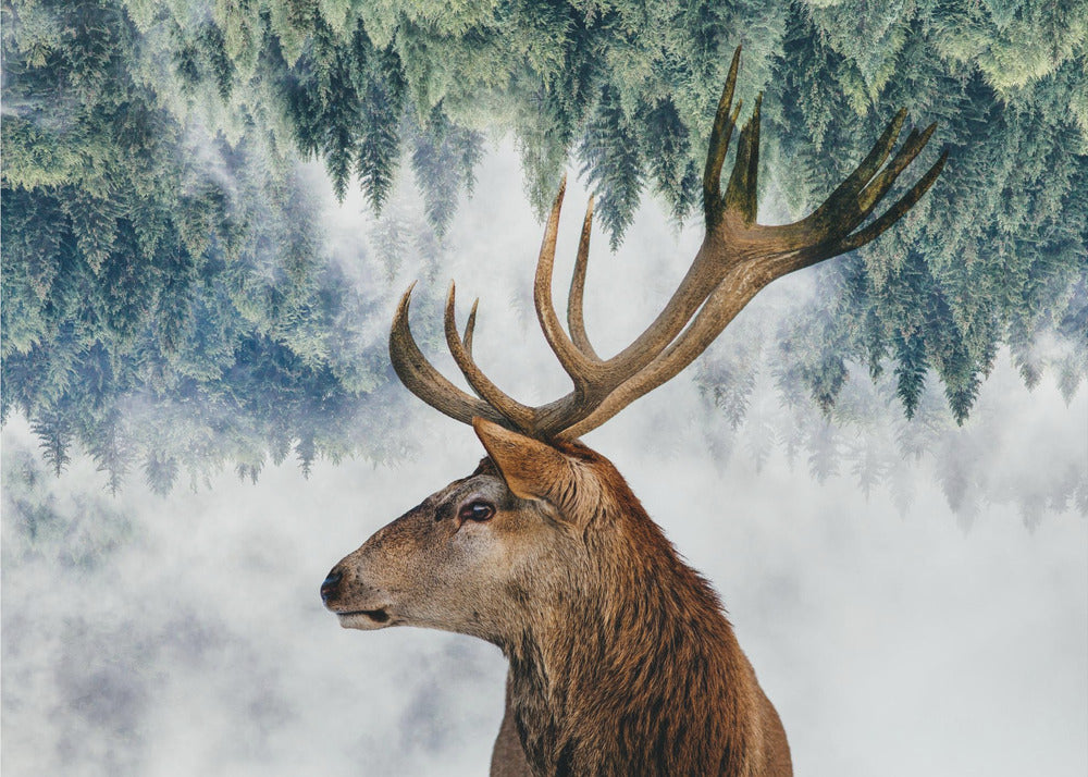 The Deer and the woods | Wallpaper