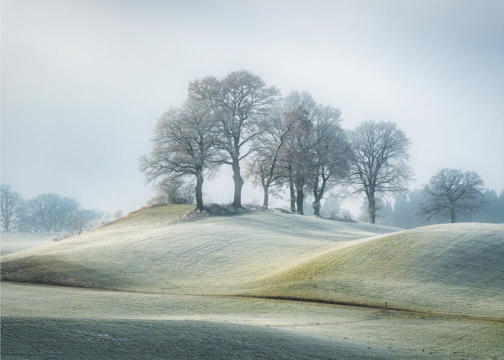 It is not in tuscany | Wallpaper