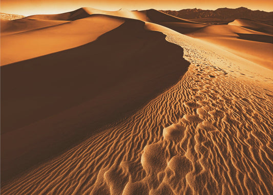 Death Valley | Poster