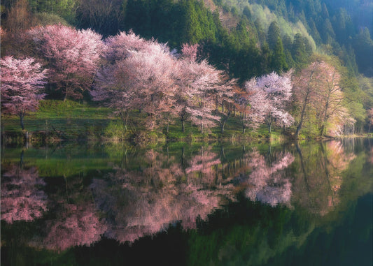 Another World | Canvas