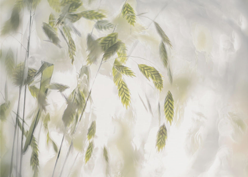 Grass blades | Poster