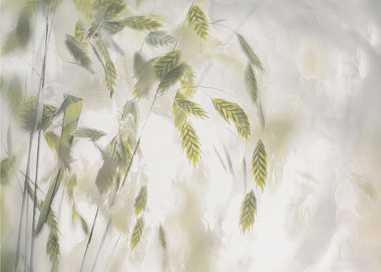 Grass blades | Canvas