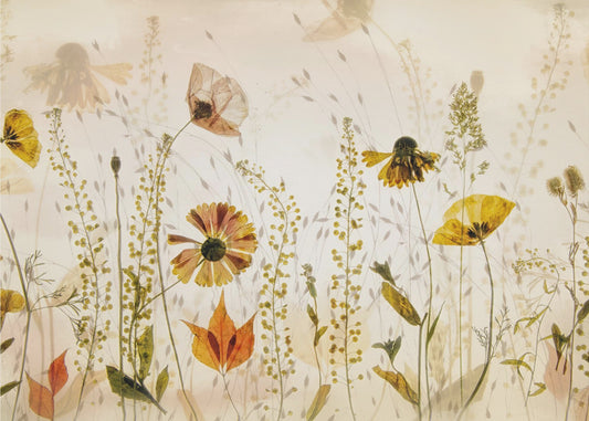 In the field... | Canvas