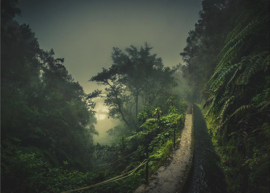 Levada Walk | Wallpaper