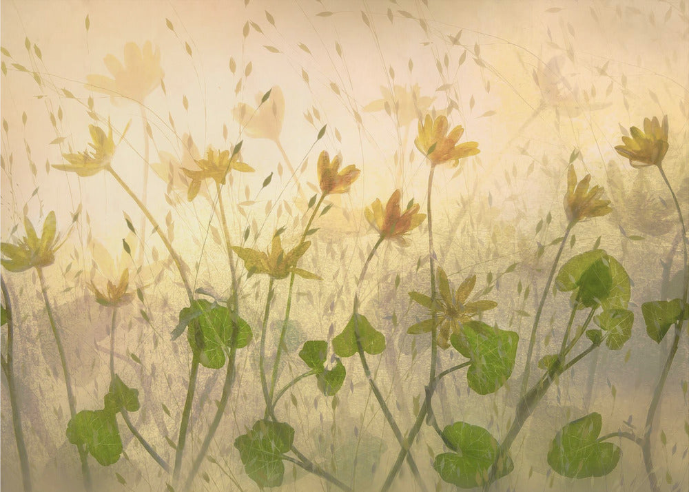 Sunny flowers | Canvas