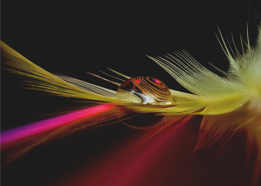 Colors in the drop | Poster