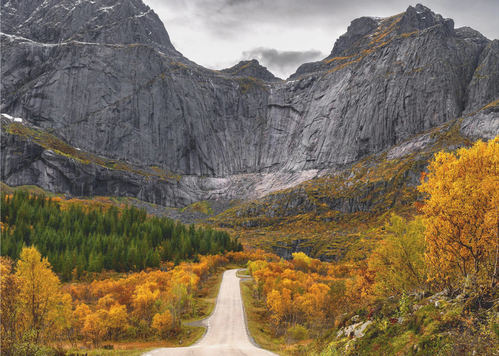 Road to the Wall | Poster