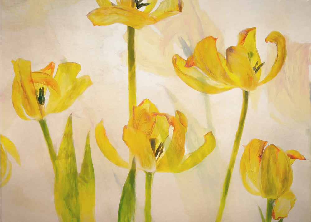 Flowering tulips | Canvas