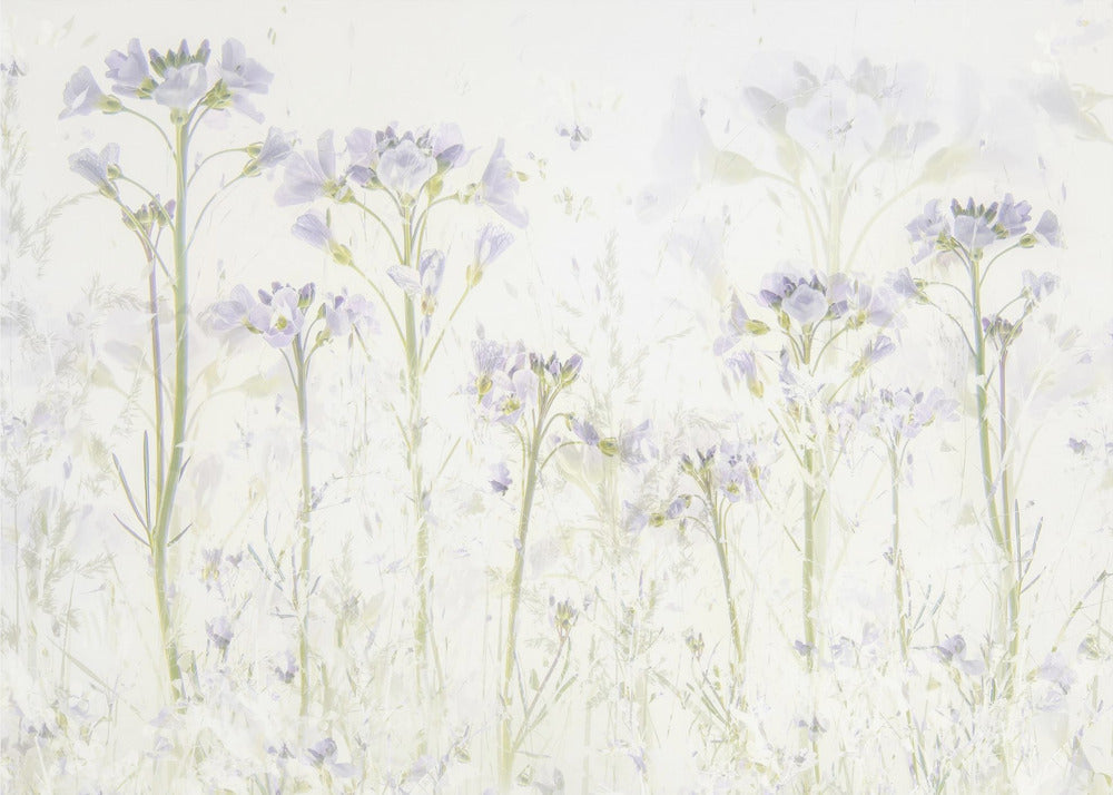 Spring at home | Poster