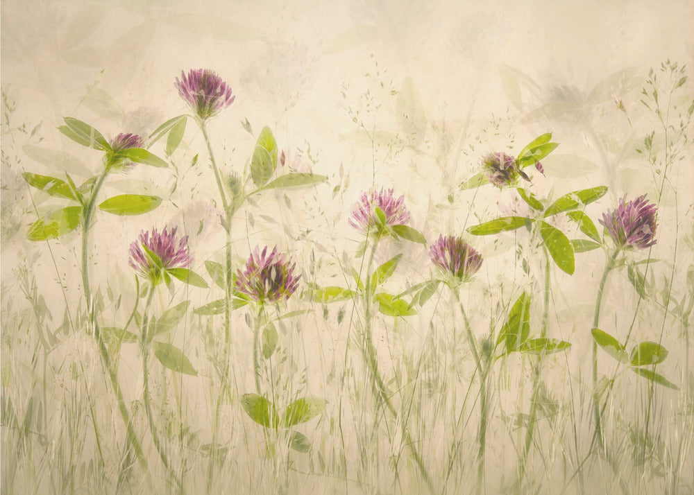 Old luky times | Canvas