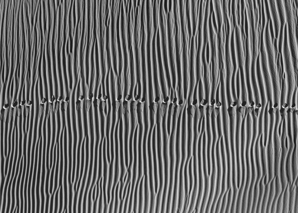 Untitled | Wallpaper