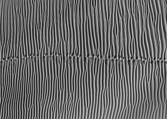 Untitled | Wallpaper