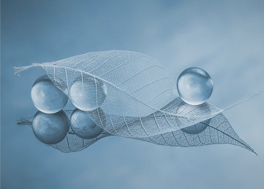 Dry leaf and Bubbles | Canvas