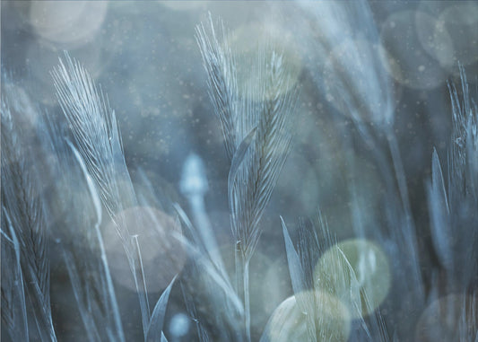 Fantastic Nature | Poster