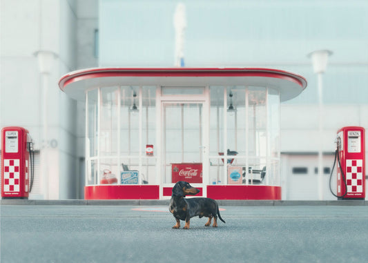 Der Tankwart | Poster