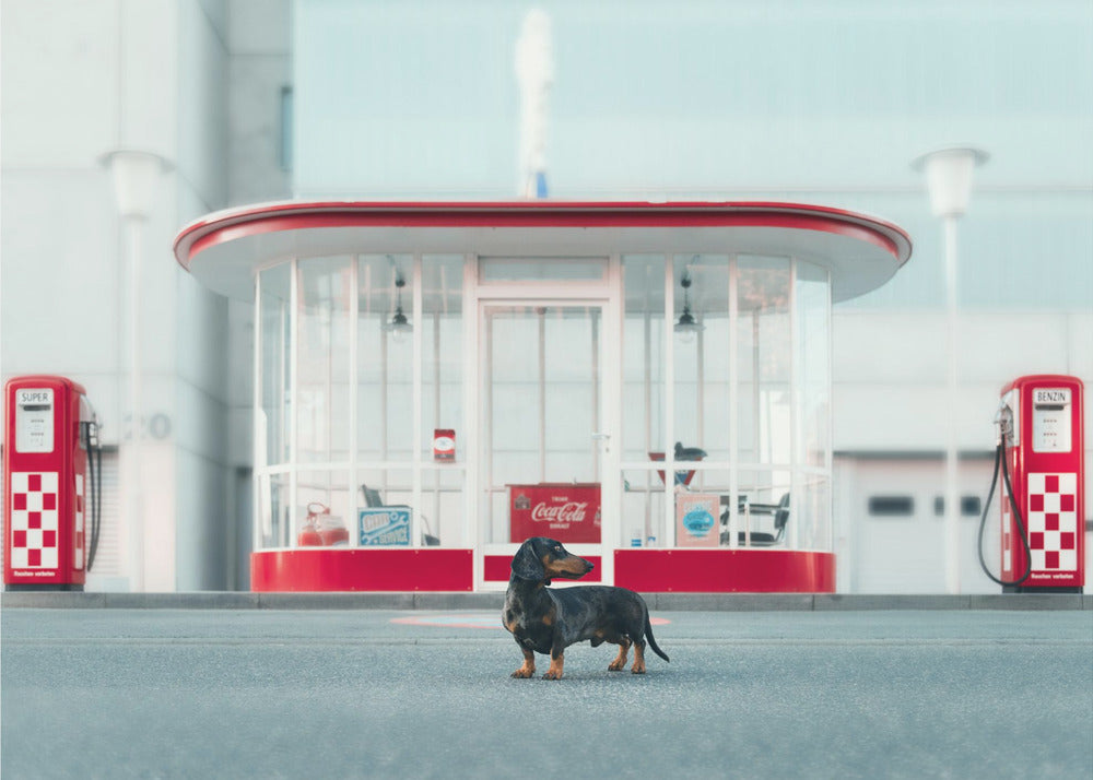 Der Tankwart | Canvas