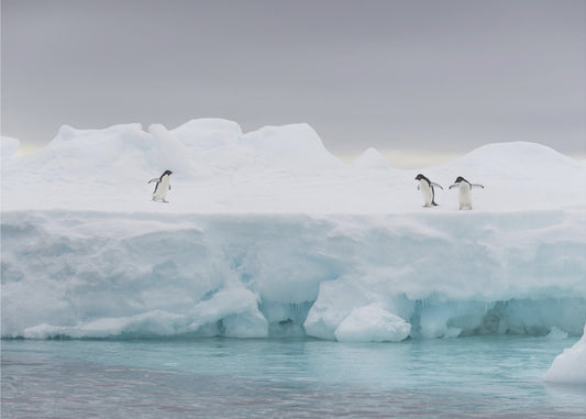 The Stage | Wallpaper