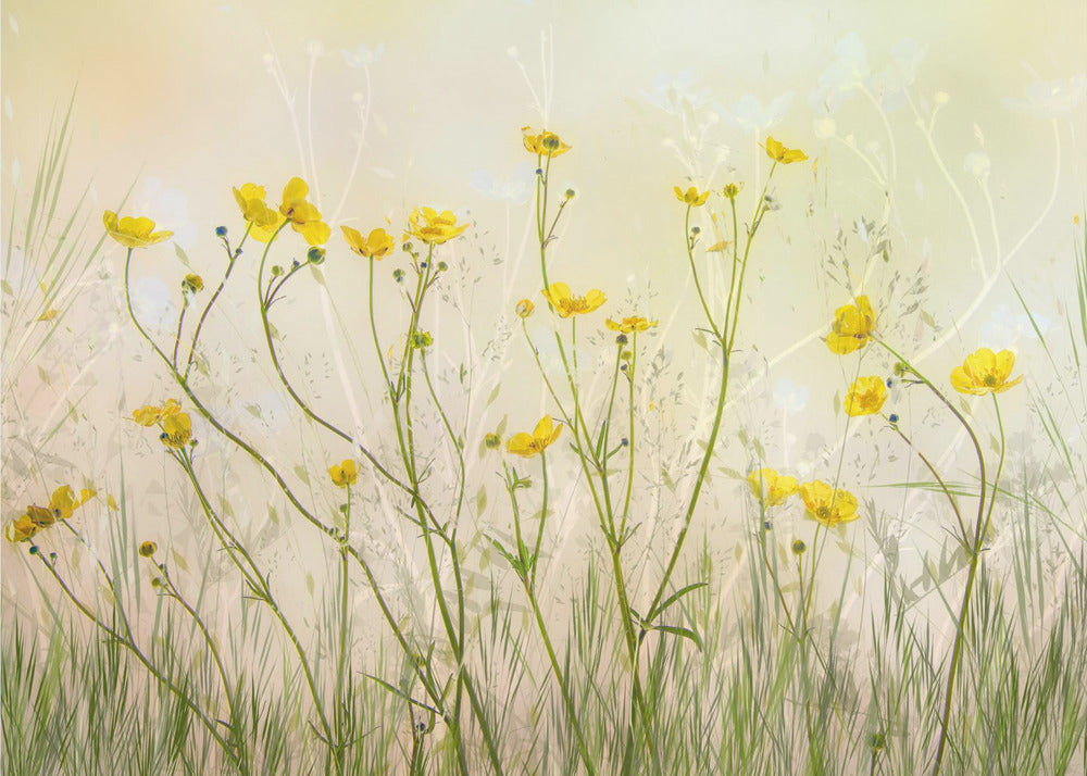 Good morning! | Wallpaper