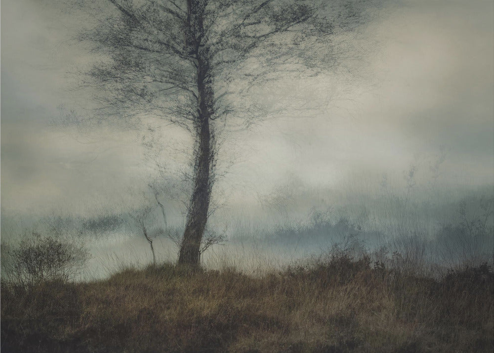 Silent | Poster