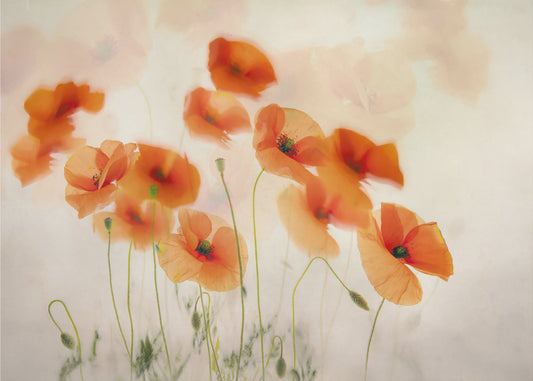 Waving in the wind | Canvas