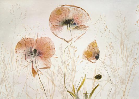 Light and soft | Canvas