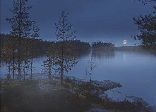 Night mist | Canvas