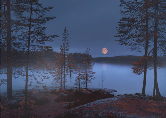 Red Moon | Canvas