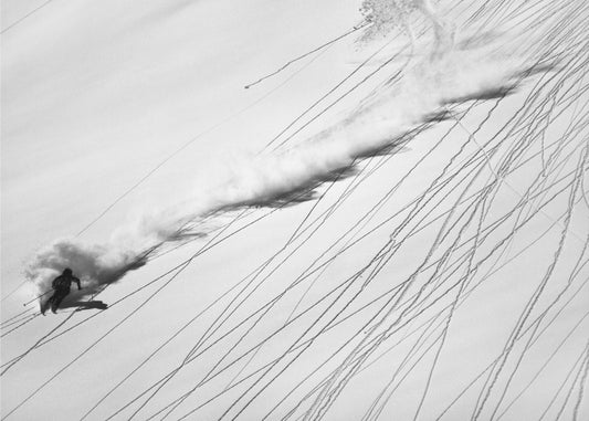 Skiing Powder | Canvas
