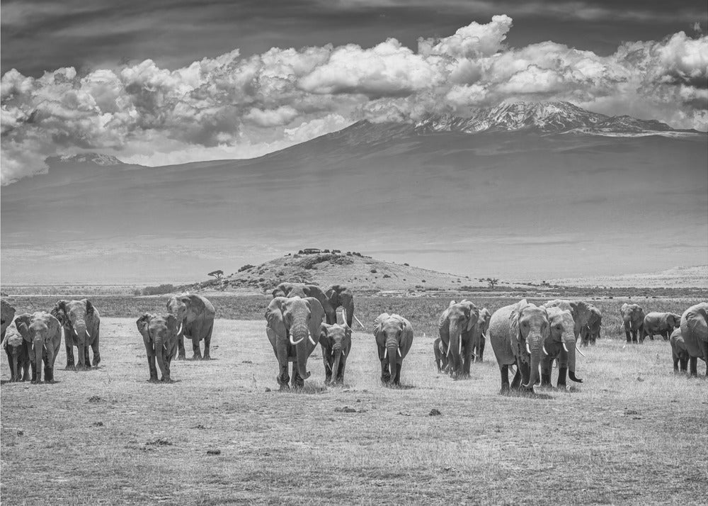 The Titans | Wallpaper