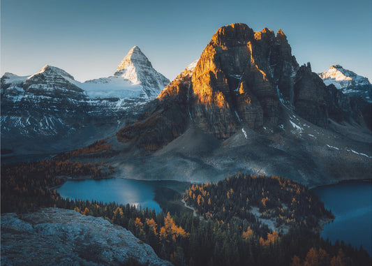 Morning Sunlight | Poster