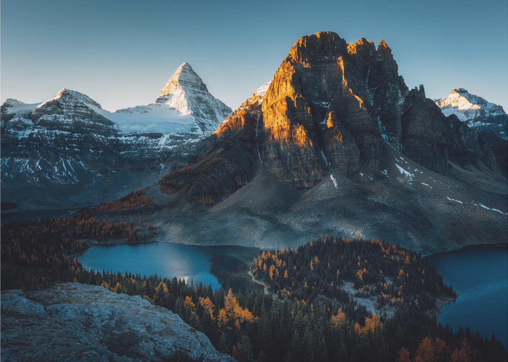 Morning Sunlight | Canvas