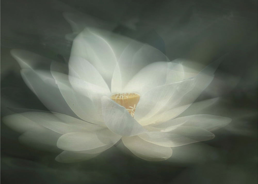 Swaying | Wallpaper