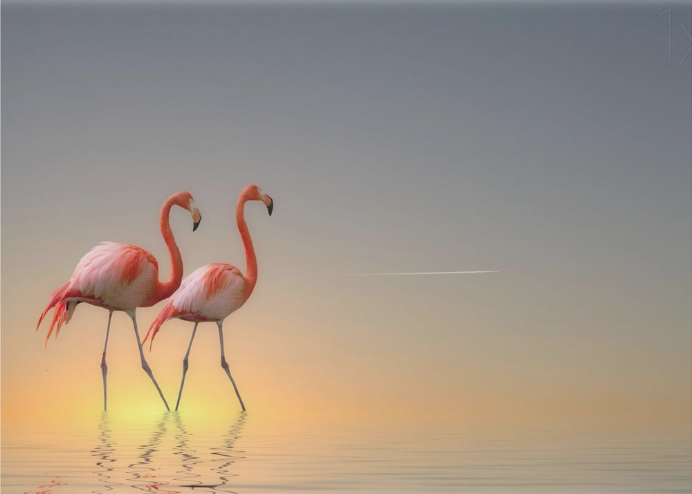 Serenity II | Canvas