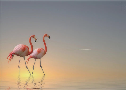 Serenity II | Canvas