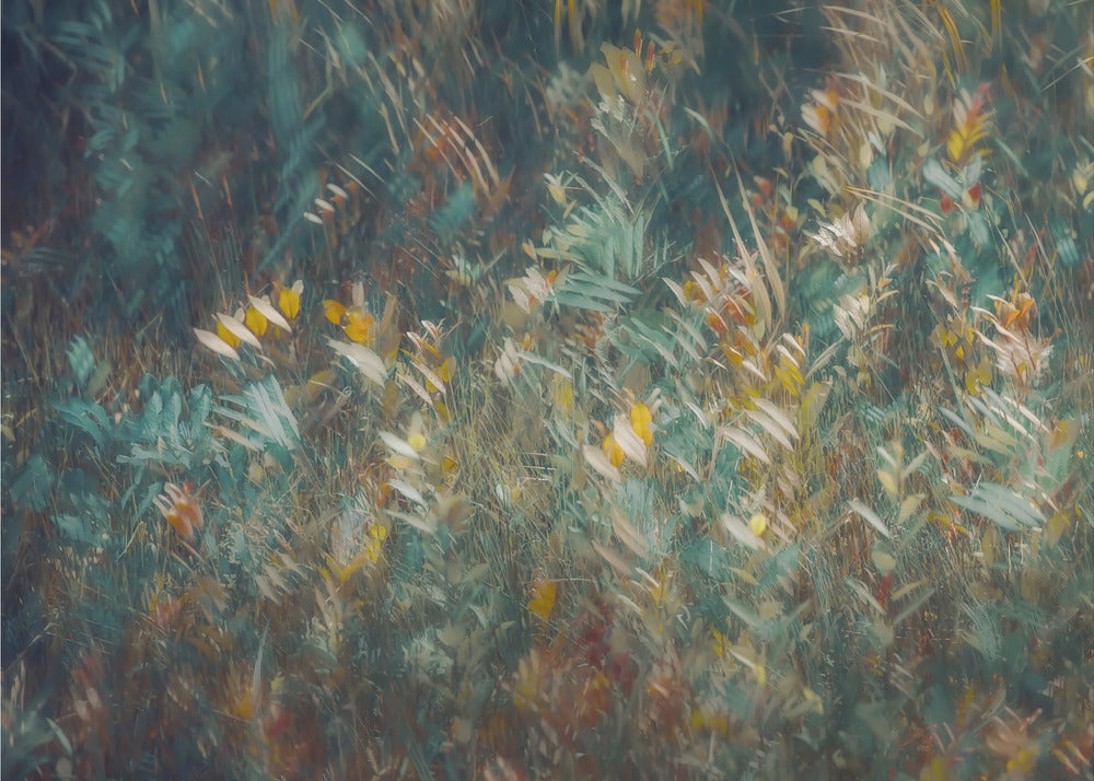 Late summer | Canvas