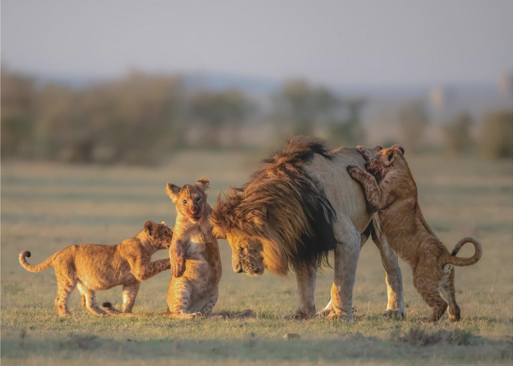 Dad and kids | Poster