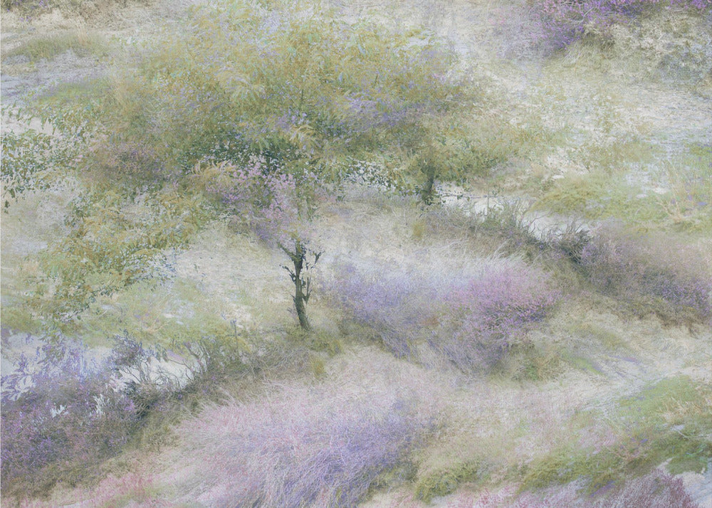 Flowering heather | Canvas