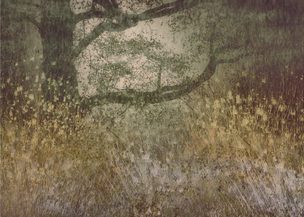 Autumn is coming | Canvas