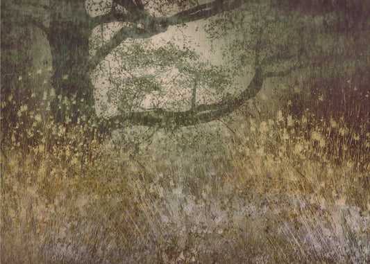 Autumn is coming | Canvas