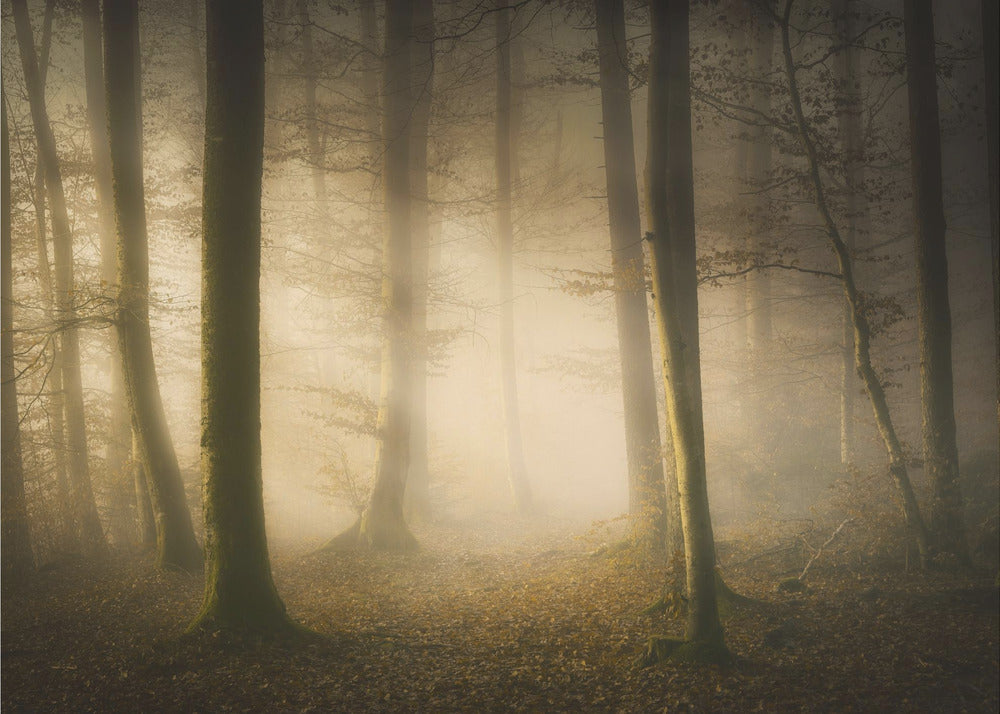 November Whispers | Poster