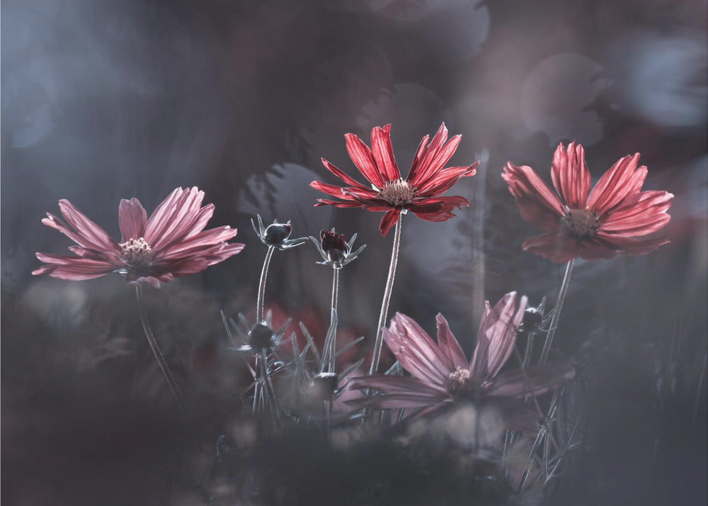 Les fleurs du Bien | Canvas