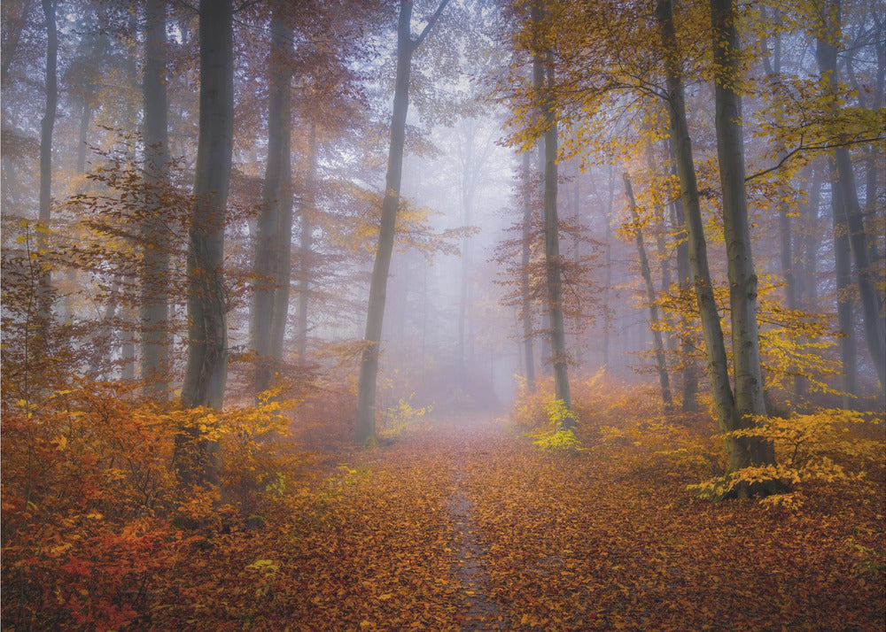 October Trail | Poster