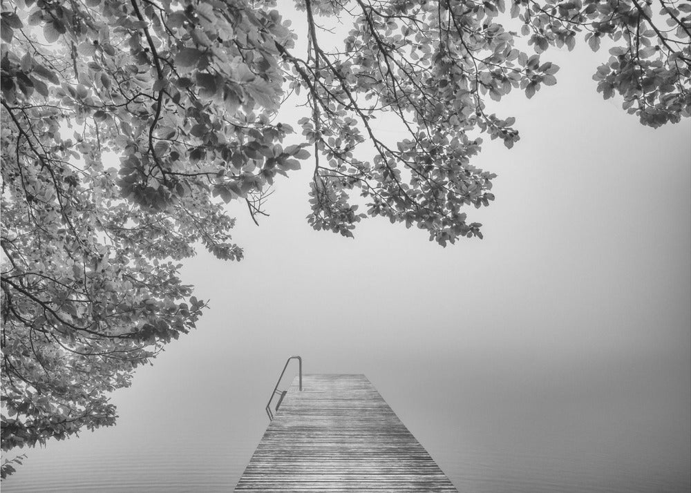 the sound of silence | Canvas