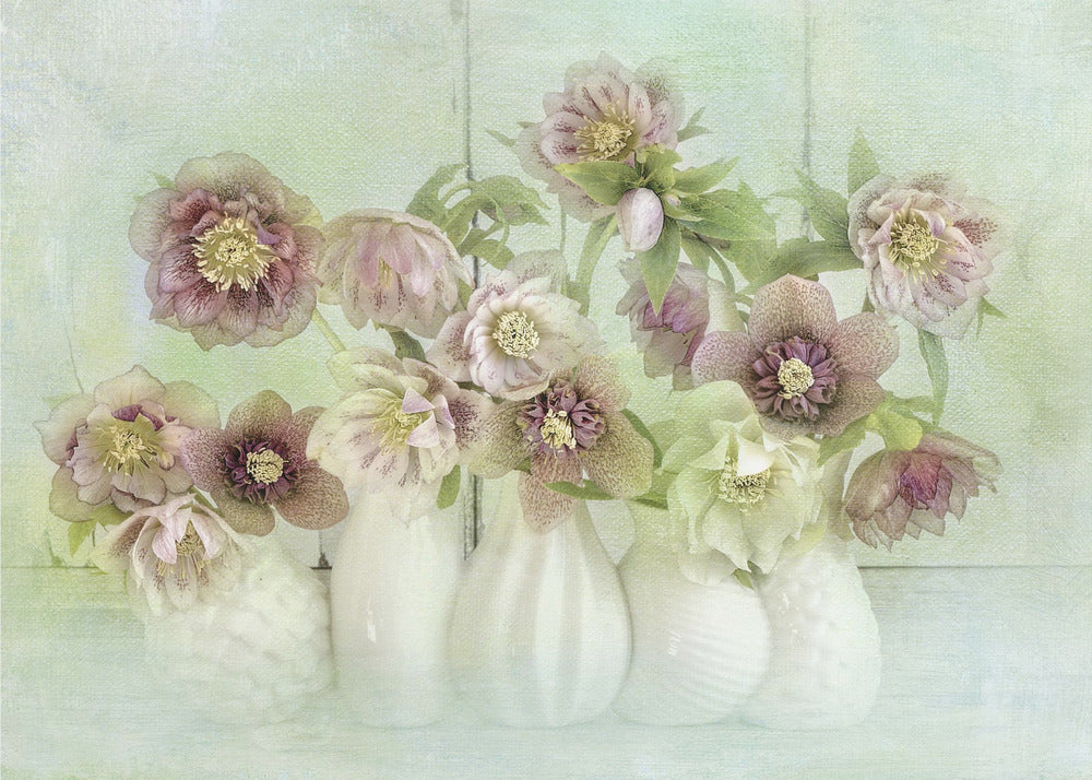 Spring Lentens | Poster